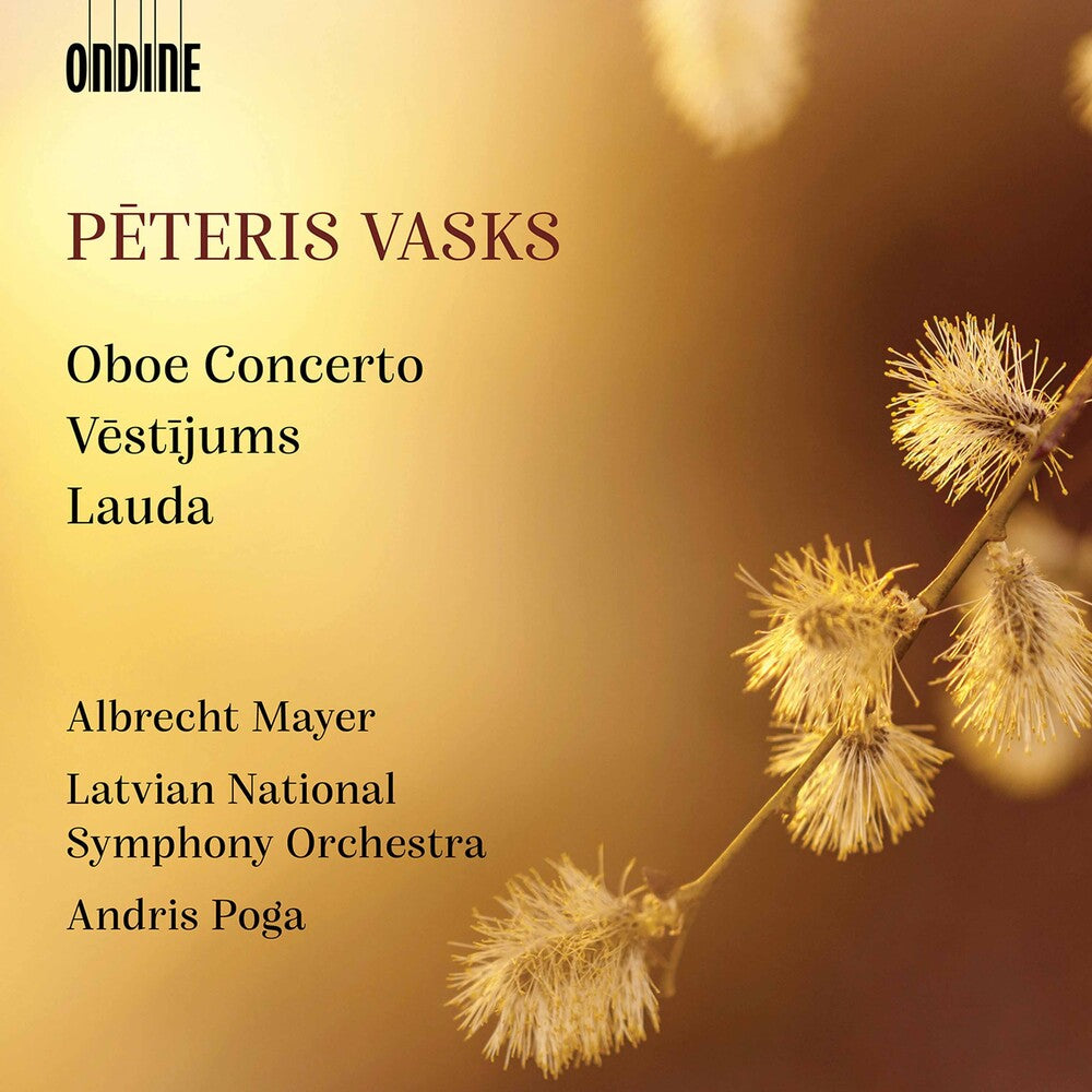 the album cover for Vasks / Mayer / Poga - Orchestral Works