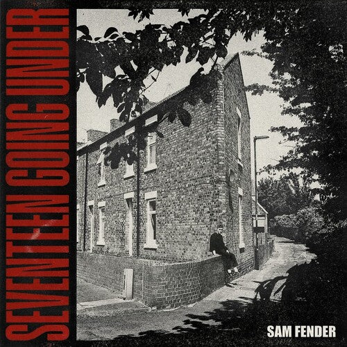 Fender,sam - Seventeen Going Under - Vinyl Record