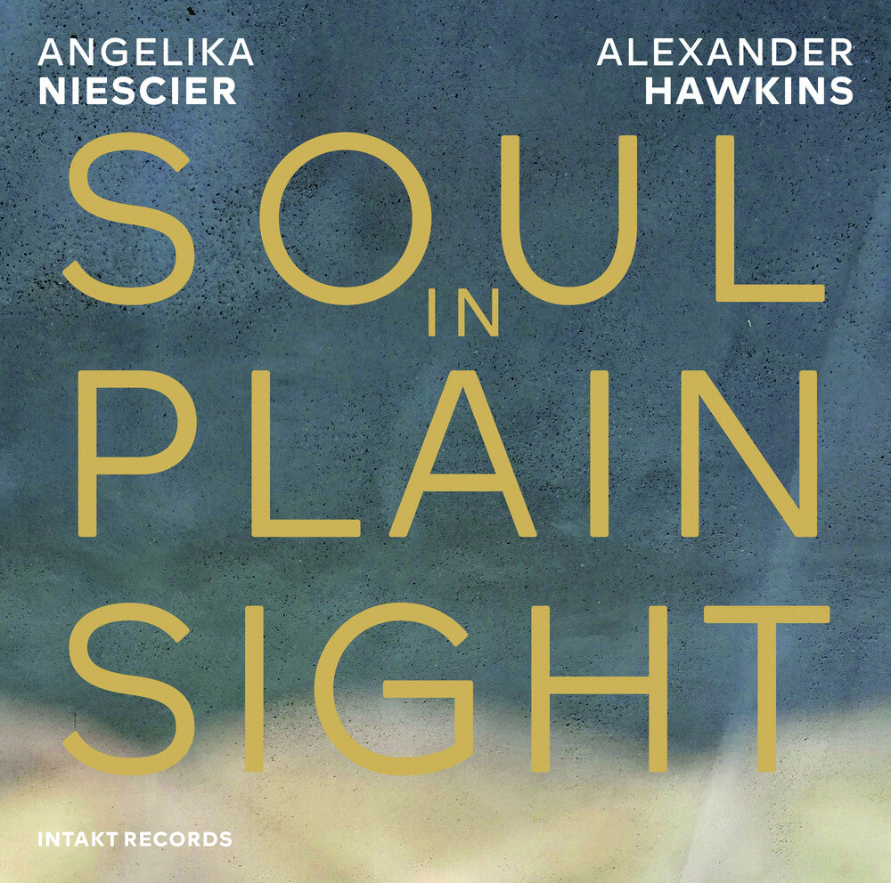 the album cover for Angelika Niesicer / Hawkins,Alexander - Soul In Plain Sight