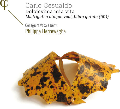 Gesualdo / Collegium Vocale Gent / Herreweghe - Dolcissima Mia Vita - Music CD