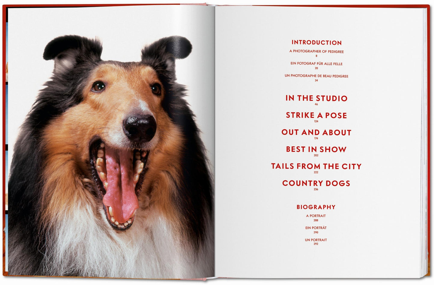 Walter Chandoha. Dogs. Photographs 1941–1991 (German, French, English) Book