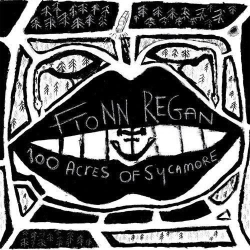 Fionn Regan - 100 Acres Of Sycamore Vinyl Record