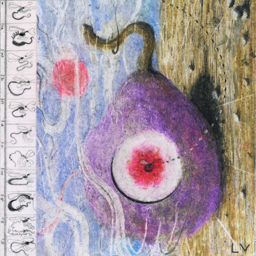 the album cover for Lunar Vacation - Inside Every Fig is a Dead Wasp