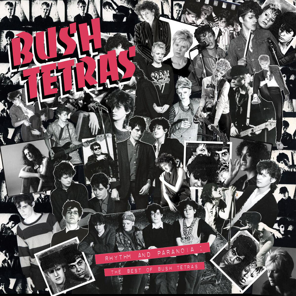 Rhythm & Paranoia: The Best Of Bush Tetras Music CD