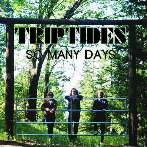 The Triptides - So Many Days Vinyl Record
