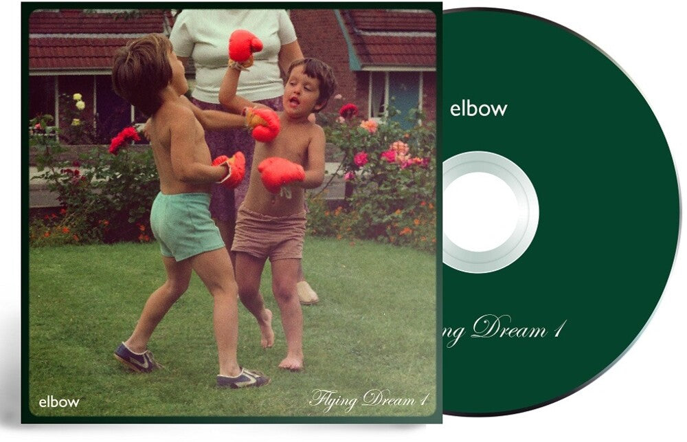 the album cover for Elbow - Flying Dream 1