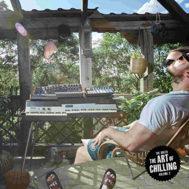 Breed - Art Of Chilling V.2 - LP Vinyl