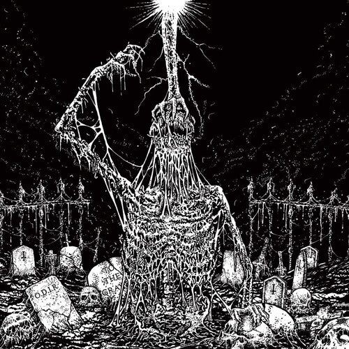 Infesticide / In Obscurity Revealed - Split - Music CD