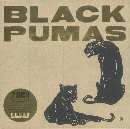 Black Pumas - Black Pumas - Vinyl Record