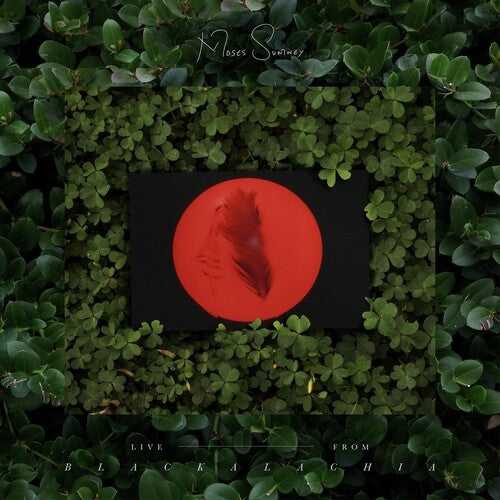 Moses Sumney - Live From Blackalachia (Clear Green) Vinyl Record