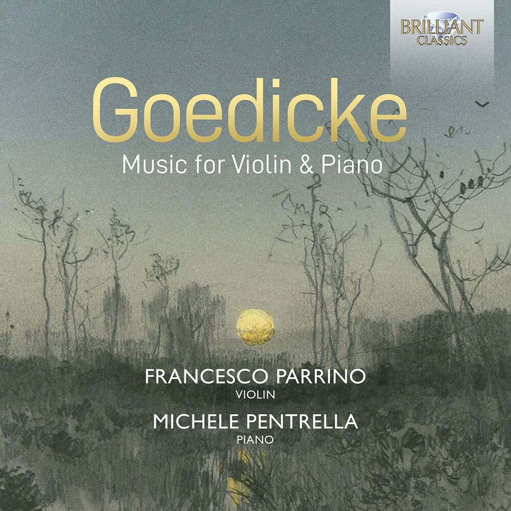 the album cover for Goedicke / Parrino / Pentrella - Music For Violin & Piano