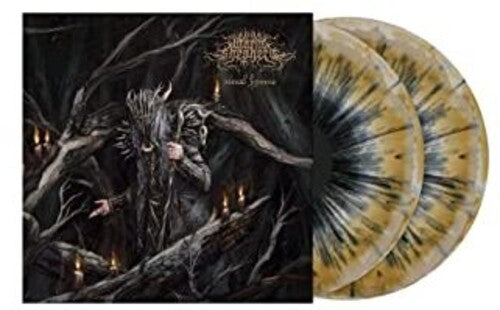 Worm Shepherd - Ritual Hymns Vinyl Record