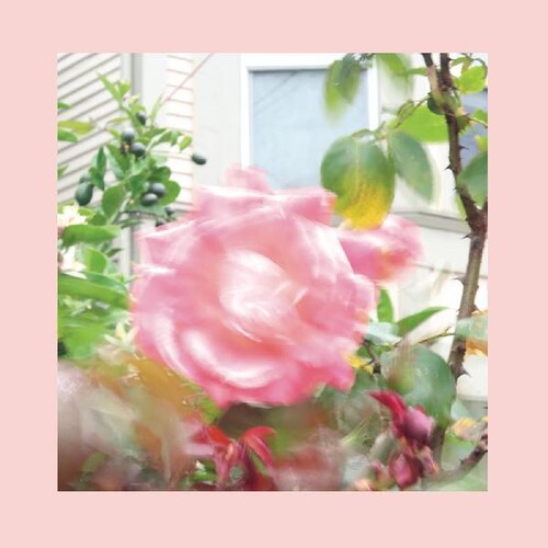 Reds, Pinks And Purples - Summer At Land's End - Music CD