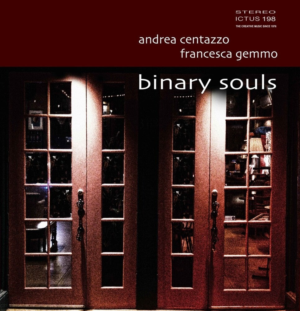 the album cover for Andrea Centazzo / Gemmo,Francesca - Binary Souls