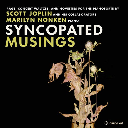 Chauvin / Nonken - Syncopated Musings - Music CD
