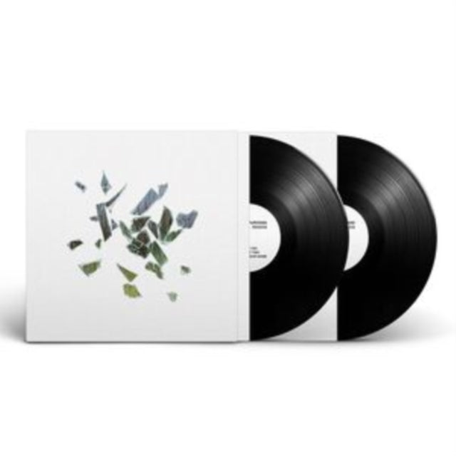 These New Puritans - Field Of Reeds (2LP) Vinyl Record