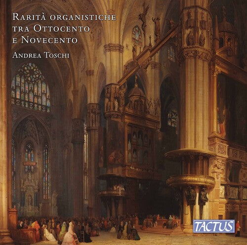 Rare 19th & 20th Century Organ / Various - Rare 19th & 20th Century Organ / Various - Music CD