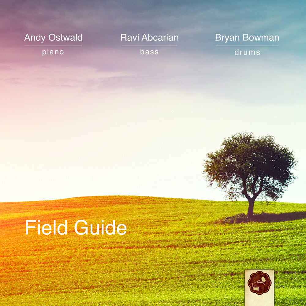 the album cover for Andy Ostwald Trio - Field Guide