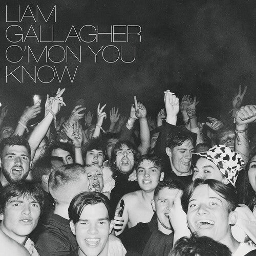 Gallagher,liam - C'mon You Know - Vinyl Record