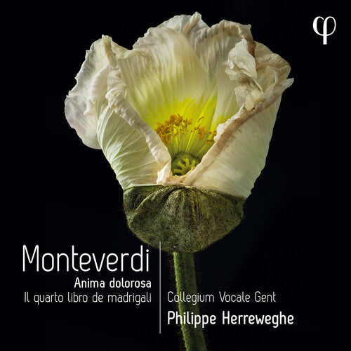 Monteverdi / Collegium Vocale Gent / Herreweghe - Il Quarto Libro De - Music CD
