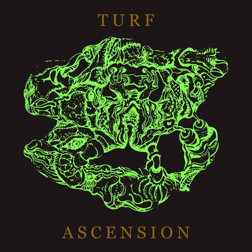 Bubblemath - Turf Ascension - Music CD