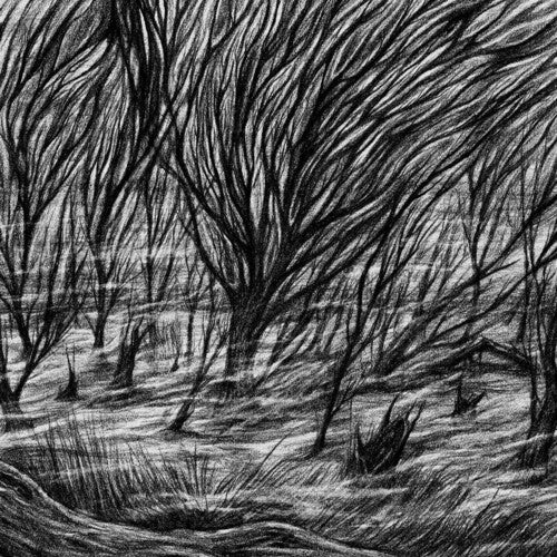Bismuth - Eternal Marshes - Vinyl Record
