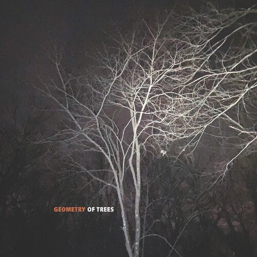 Reid,tomeka - Geometry Of Trees - Music CD