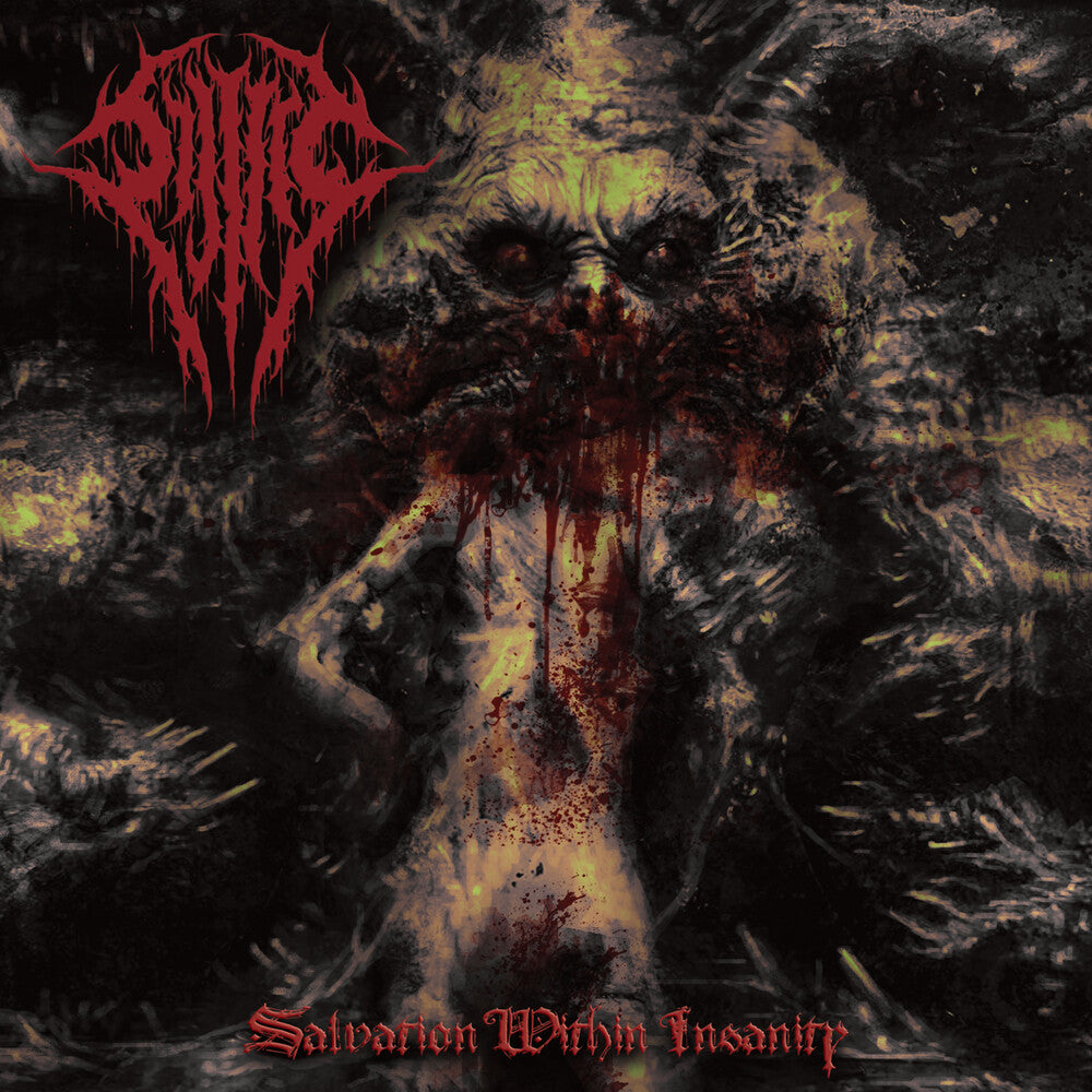 the album cover for Sijjeel - Salvation Within Insanity