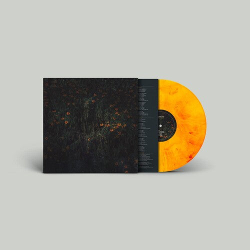 Compro Oro - Estarantos - Vinyl Record