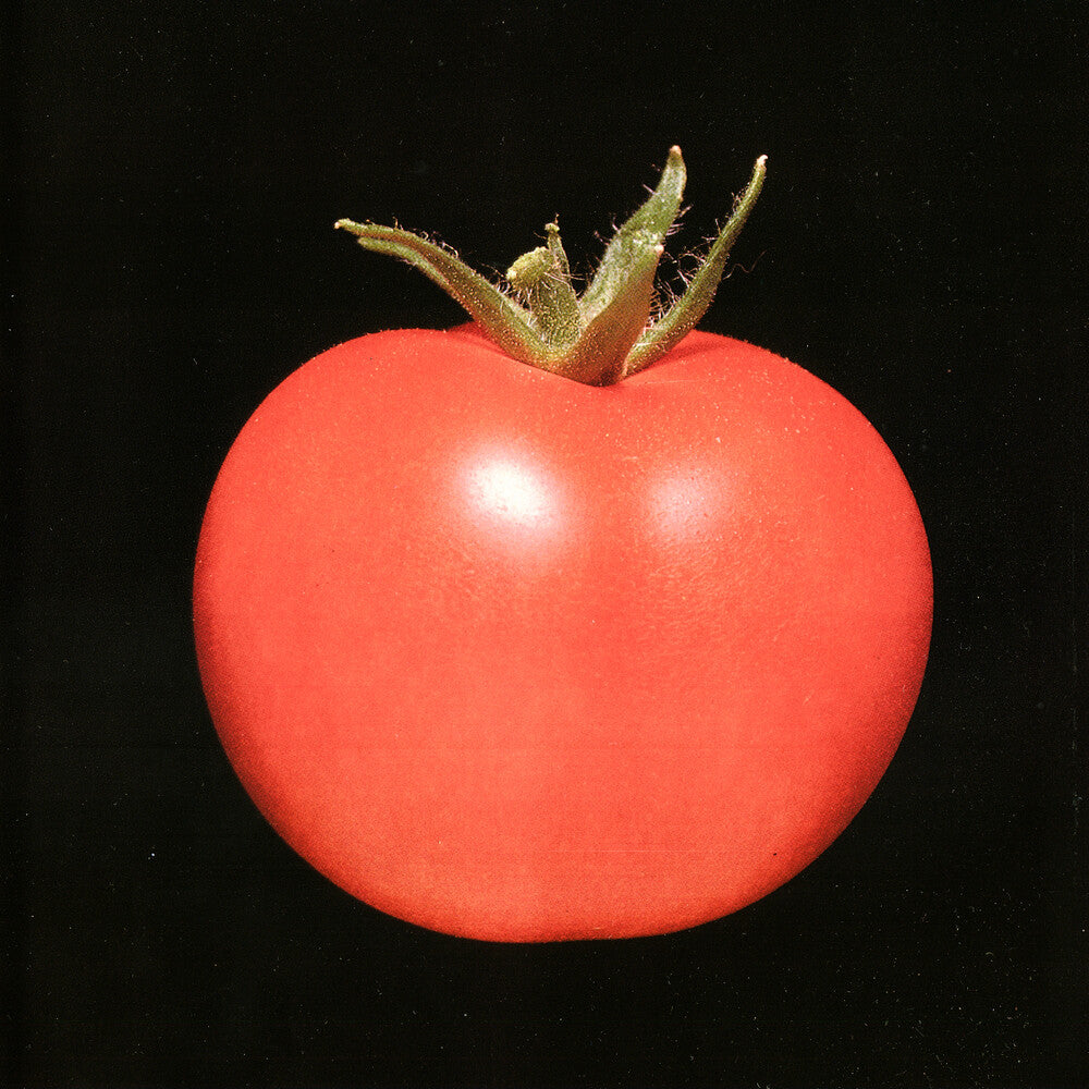 the album cover for Chronophage - Chronophage