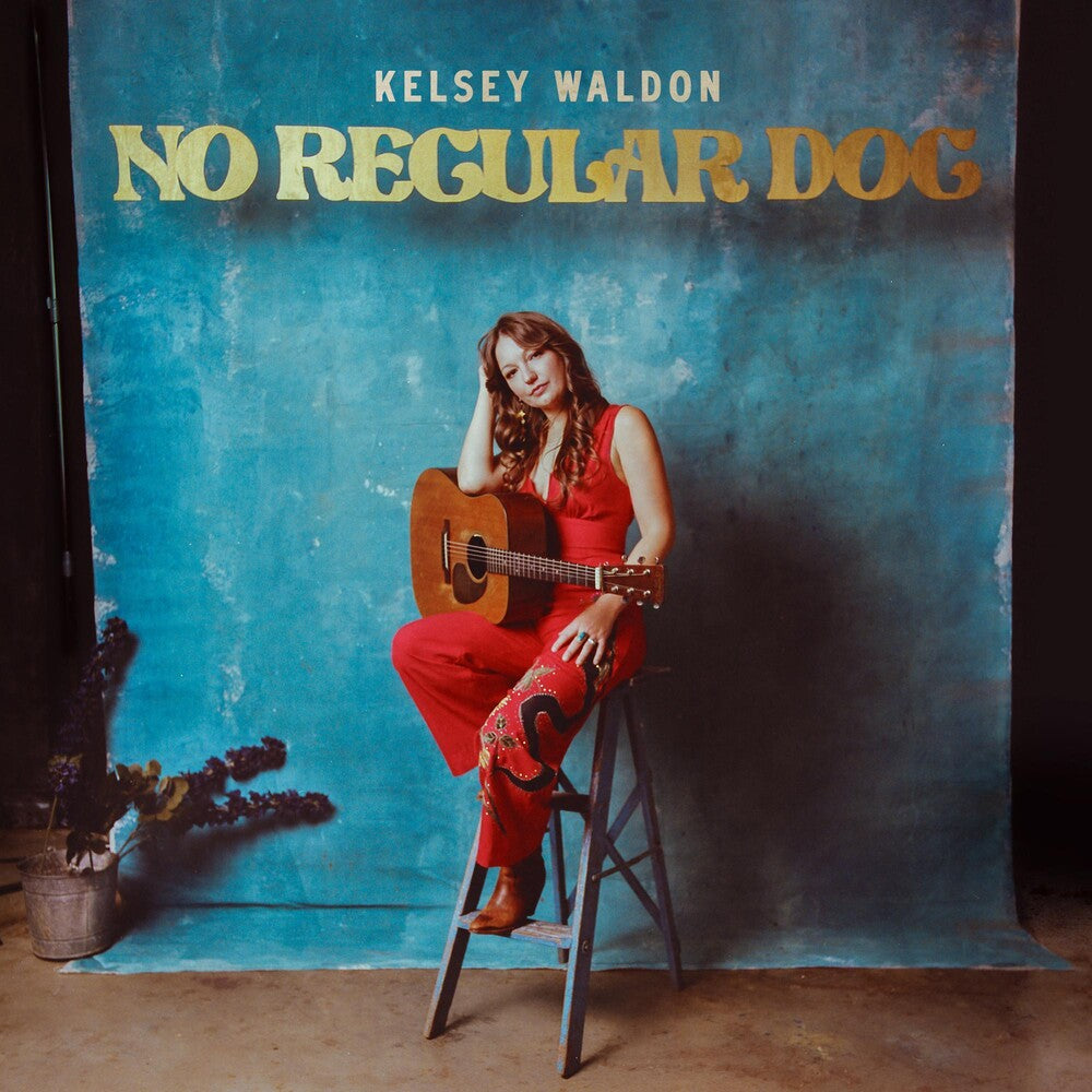 No Regular Dog Music CD