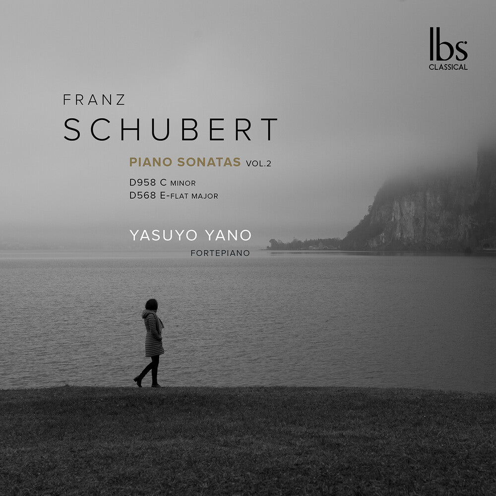 the album cover for Schubert / Yano - Fortepiano Sonatas