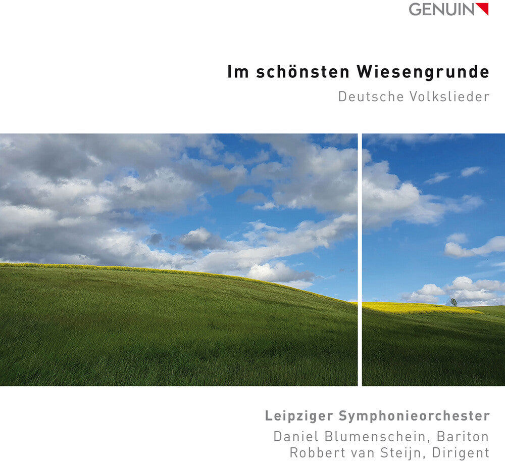 the album cover for Mendelssohn / Leipziger Symphonieorchester - Im Schonsten Wiesengrunde