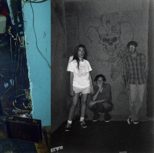 Harry Pussy - You'll Never Play This Town Again Vinyl Record