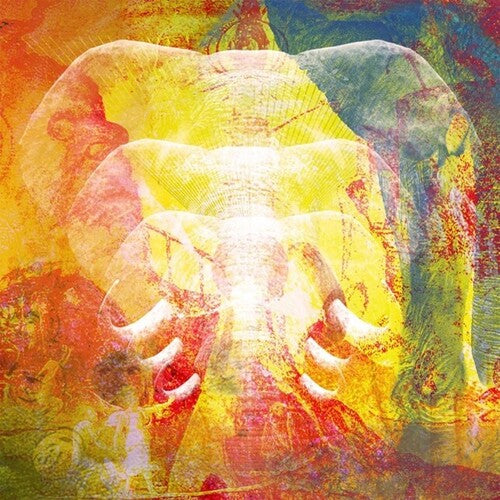 Join The Din - Elephants In Autumn Rage - Music CD