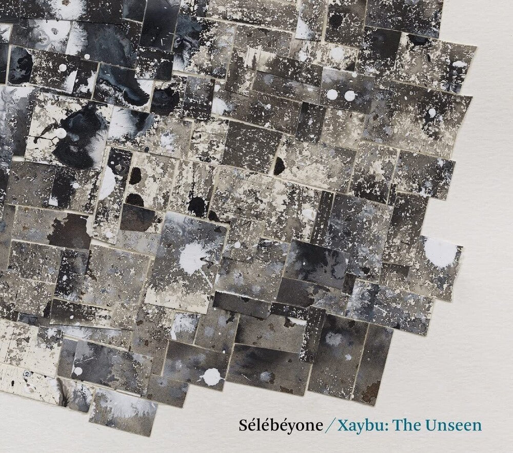 the album cover for Steve Lehman / Selebeyone - Xaybu: The Unsee