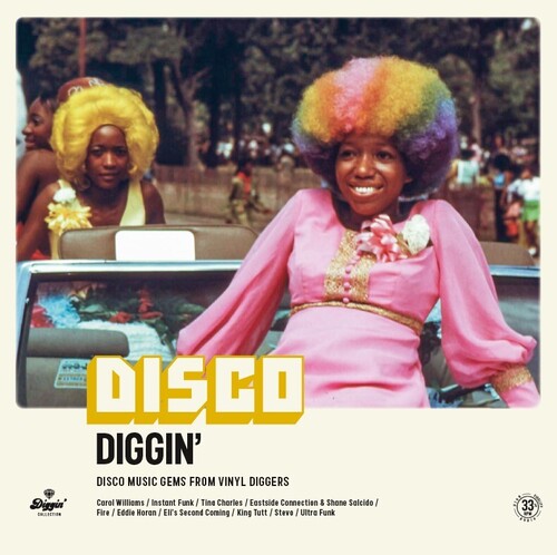 Various Artists - Disco Diggin Vinyl Record