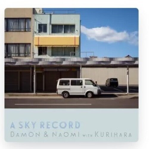 Damon & Naomi - A Sky Record Vinyl Record