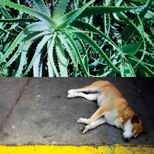 Steve Bates - All The Things That Happen Vinyl Record