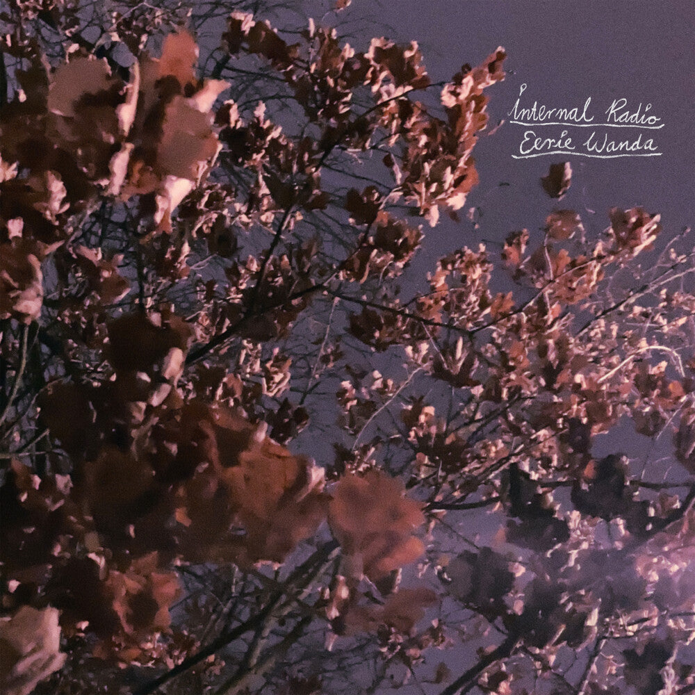 the album cover for Eerie Wanda - Internal Radio