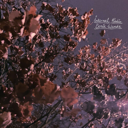 Eerie Wanda - Internal Radio - Music CD
