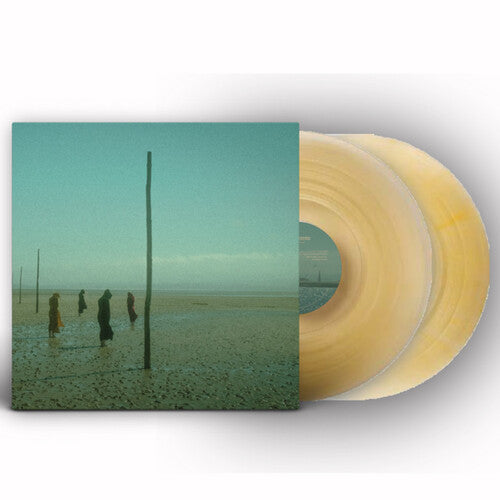Devils Witches - In All Her Forms - Gold/clear Marbled Vinyl Record