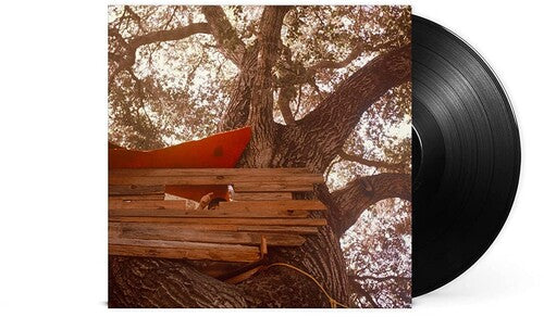 Backseat Lovers - Waiting To Spill Vinyl Record