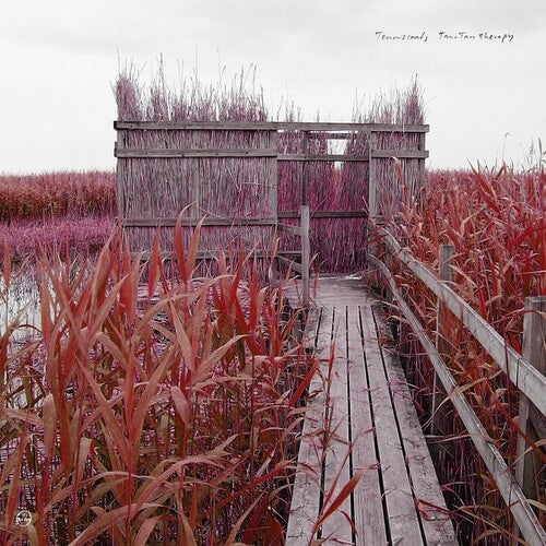 Tenniscoats - Tan-Tan Therapy Vinyl Record