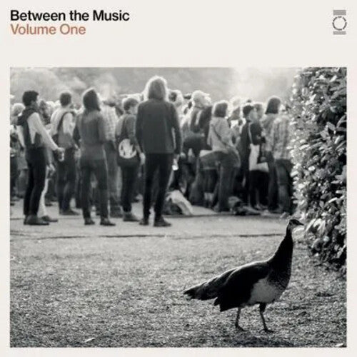 Various Artists - End Of The Road Presents: Between The Music / Various - White Vinyl Record