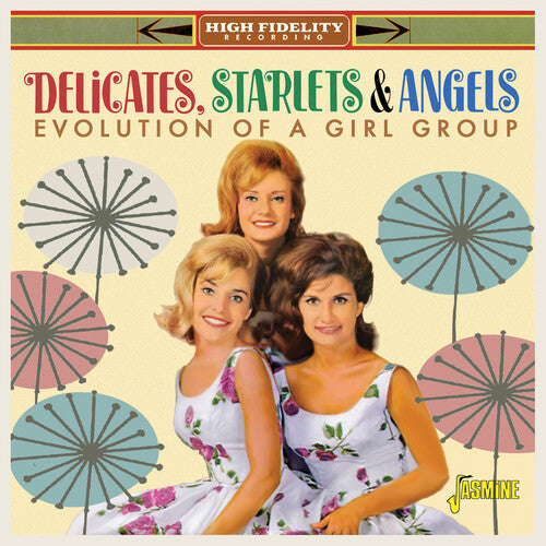 Delicates Starlets & Angels - Evolution Of A Vocal Group - Music CD