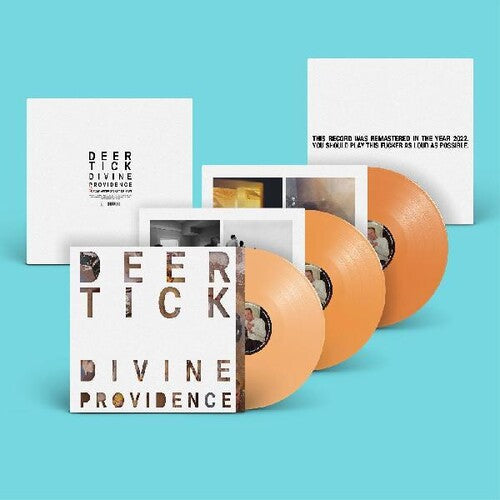 Deer Tick - Divine Providence Vinyl Record