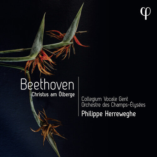 Collegium Vocale Gent / Orch Des Champs-elysees - Beethoven: Christus Am Olberge - Music CD