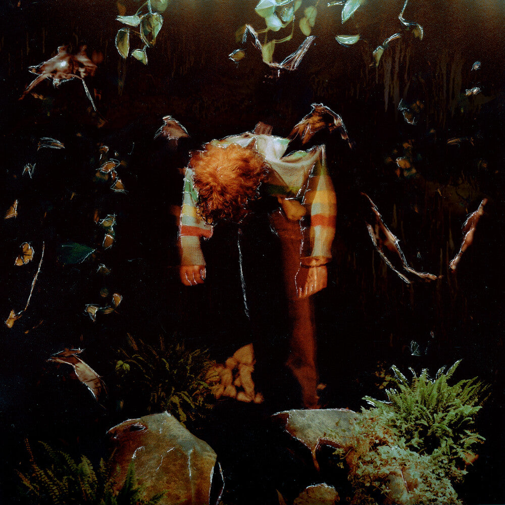 the album cover for Cavetown - worm food