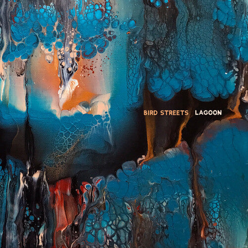 Bird Streets - Lagoon Vinyl Record
